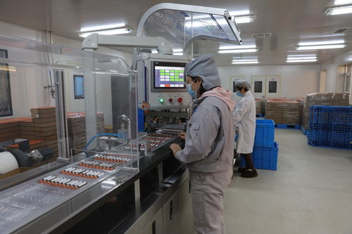 河北定興 科技特派團為企業發展添動能，加速技術推廣